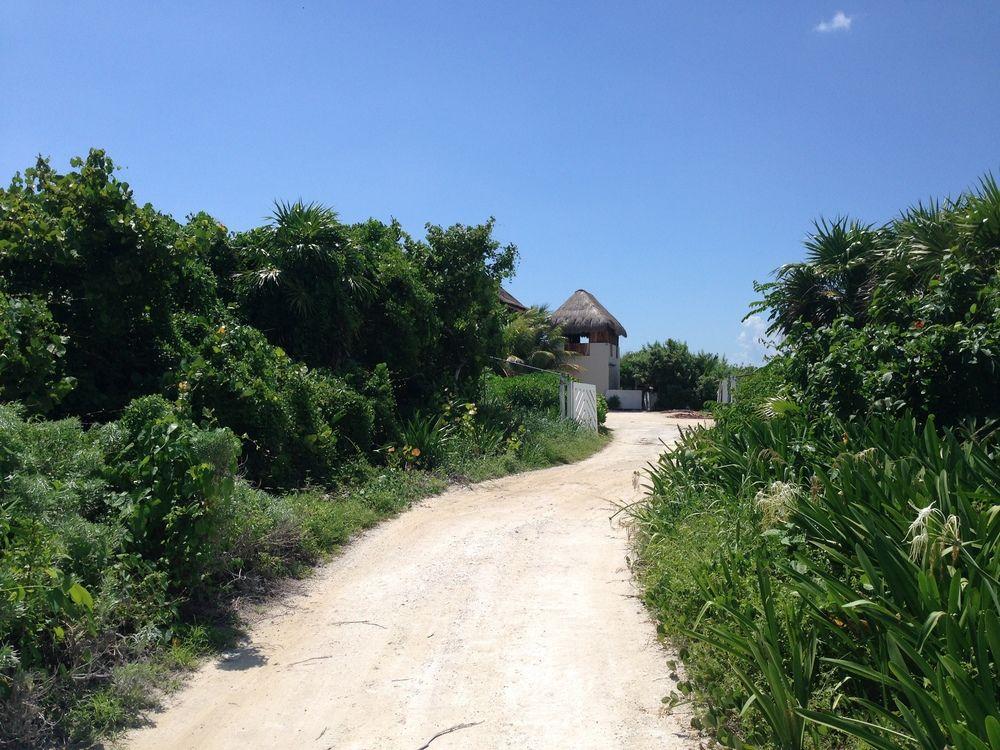 Casa Amor Pto Morelos Puerto Morelos Eksteriør bilde